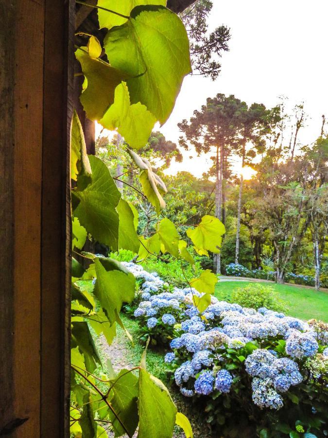 Rancho Do Lucas - Cabana E Chale São Bento do Sul Eksteriør bilde