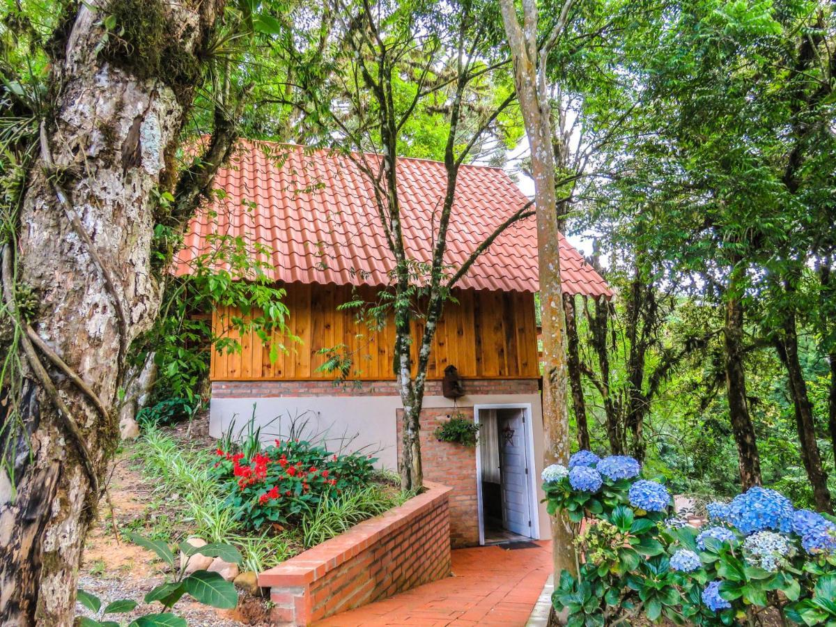 Rancho Do Lucas - Cabana E Chale São Bento do Sul Eksteriør bilde