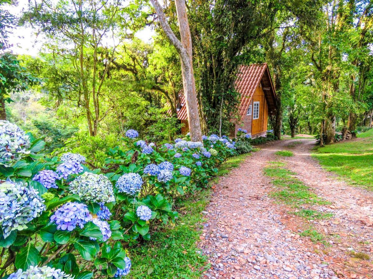 Rancho Do Lucas - Cabana E Chale São Bento do Sul Eksteriør bilde