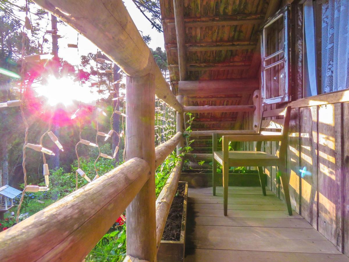 Rancho Do Lucas - Cabana E Chale São Bento do Sul Eksteriør bilde